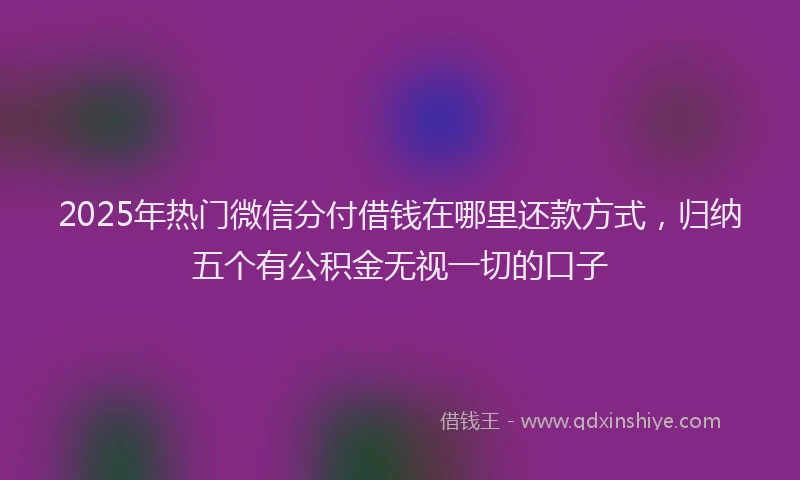 2025年热门微信分付借钱在哪里还款方式，归纳五个有公积金无视一切的口子
