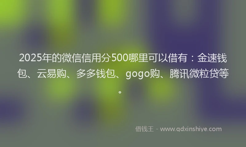 2025年的微信信用分500哪里可以借有：金速钱包、云易购、多多钱包、gogo购、腾讯微粒贷等。