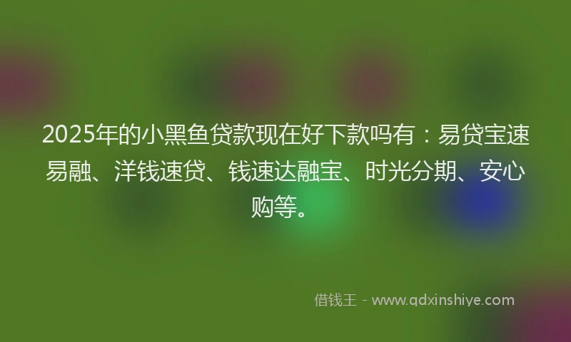 2025年的小黑鱼贷款现在好下款吗有：易贷宝速易融、洋钱速贷、钱速达融宝、时光分期、安心购等。