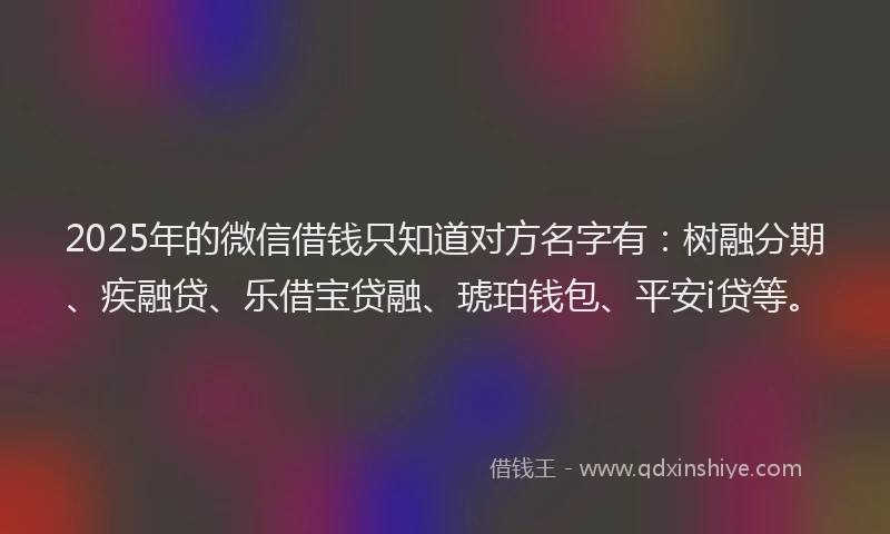 2025年的微信借钱只知道对方名字有：树融分期、疾融贷、乐借宝贷融、琥珀钱包、平安i贷等。