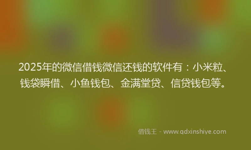 2025年的微信借钱微信还钱的软件有：小米粒、钱袋瞬借、小鱼钱包、金满堂贷、信贷钱包等。