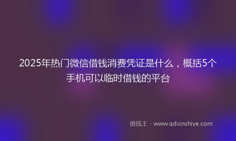 2025年热门微信借钱消费凭证是什么，概括5个手机可以临时借钱的平台
