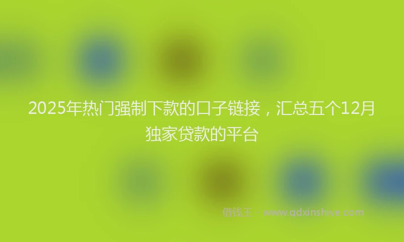 2025年热门强制下款的口子链接，汇总五个12月独家贷款的平台