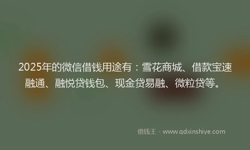 2025年的微信借钱用途有：雪花商城、借款宝速融通、融悦贷钱包、现金贷易融、微粒贷等。