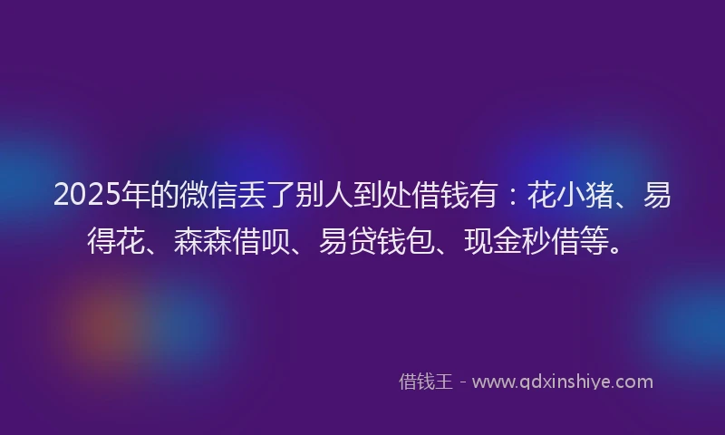 2025年的微信丢了别人到处借钱有：花小猪、易得花、森森借呗、易贷钱包、现金秒借等。