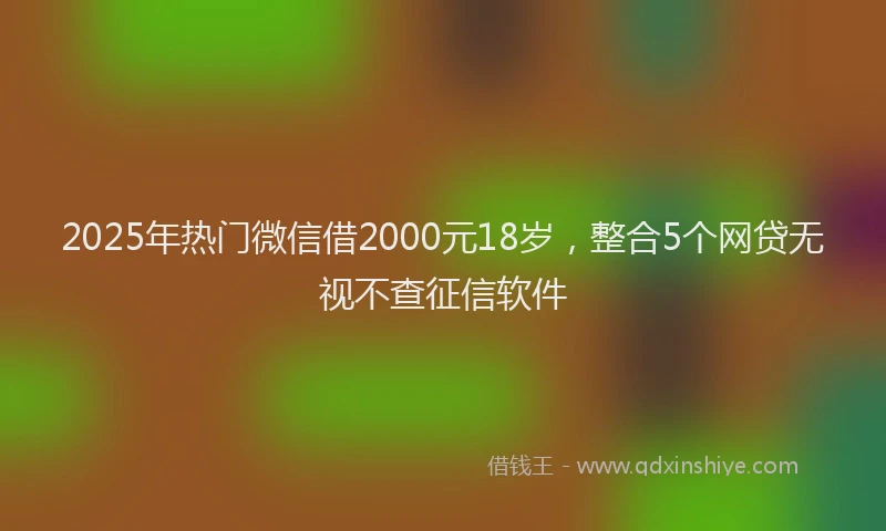 2025年热门微信借2000元18岁，整合5个网贷无视不查征信软件