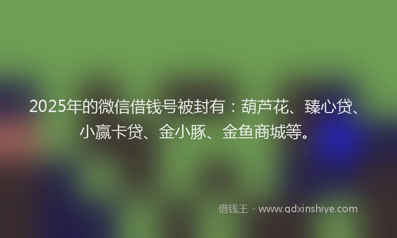 2025年的微信借钱号被封有：葫芦花、臻心贷、小赢卡贷、金小豚、金鱼商城等。