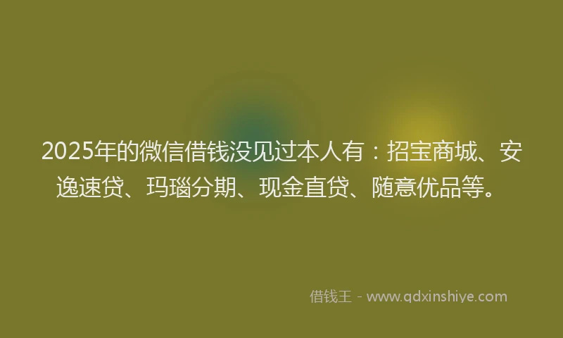 2025年的微信借钱没见过本人有：招宝商城、安逸速贷、玛瑙分期、现金直贷、随意优品等。