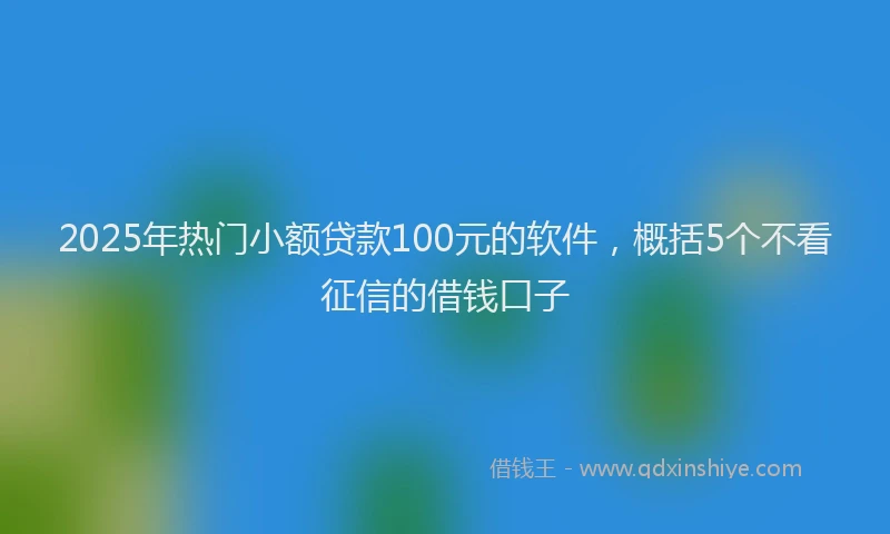 2025年热门小额贷款100元的软件，概括5个不看征信的借钱口子