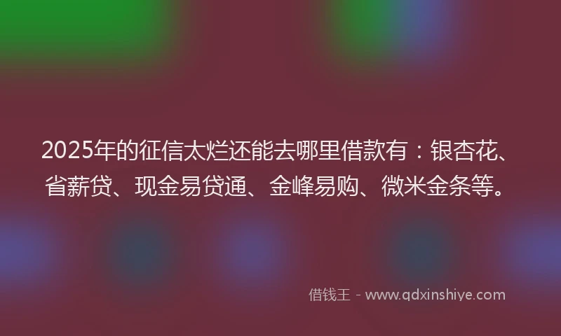 2025年的征信太烂还能去哪里借款有:银杏花、省薪贷、现金易贷通、金峰易购、微米金条等。