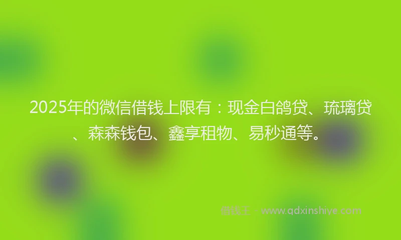 2025年的微信借钱上限有：现金白鸽贷、琉璃贷、森森钱包、鑫享租物、易秒通等。