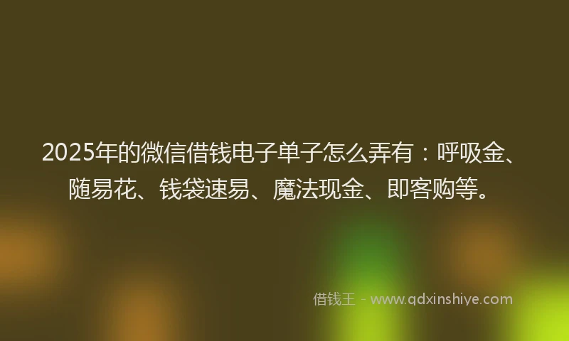 2025年的微信借钱电子单子怎么弄有：呼吸金、随易花、钱袋速易、魔法现金、即客购等。