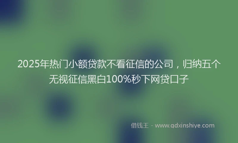 2025年热门小额贷款不看征信的公司，归纳五个无视征信黑白100%秒下网贷口子