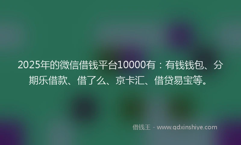 2025年的微信借钱平台10000有:有钱钱包、分期乐借款、借了么、京卡汇、借贷易宝等。