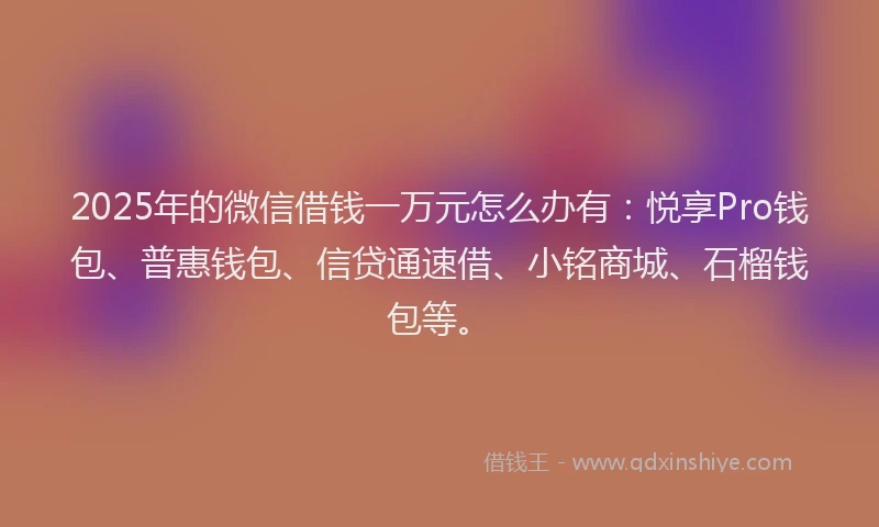 2025年的微信借钱一万元怎么办有：悦享Pro钱包、普惠钱包、信贷通速借、小铭商城、石榴钱包等。