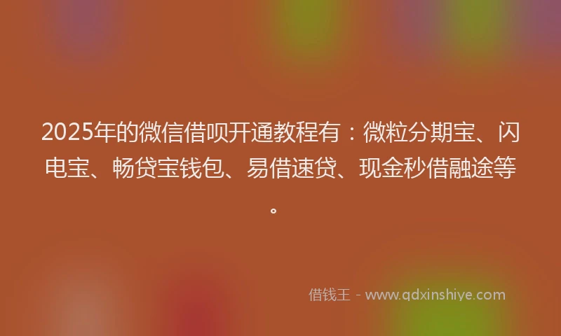 2025年的微信借呗开通教程有：微粒分期宝、闪电宝、畅贷宝钱包、易借速贷、现金秒借融途等。