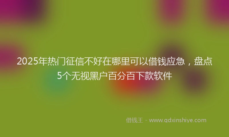 2025年热门征信不好在哪里可以借钱应急，盘点5个无视黑户百分百下款软件