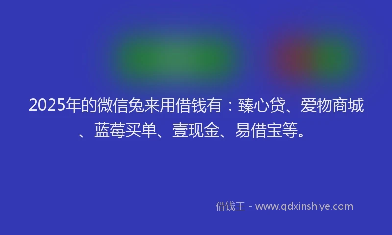 2025年的微信兔来用借钱有：臻心贷、爱物商城、蓝莓买单、壹现金、易借宝等。