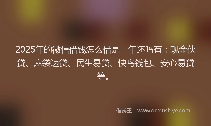 2025年的微信借钱怎么借是一年还吗有：现金侠贷、麻袋速贷、民生易贷、快鸟钱包、安心易贷等。