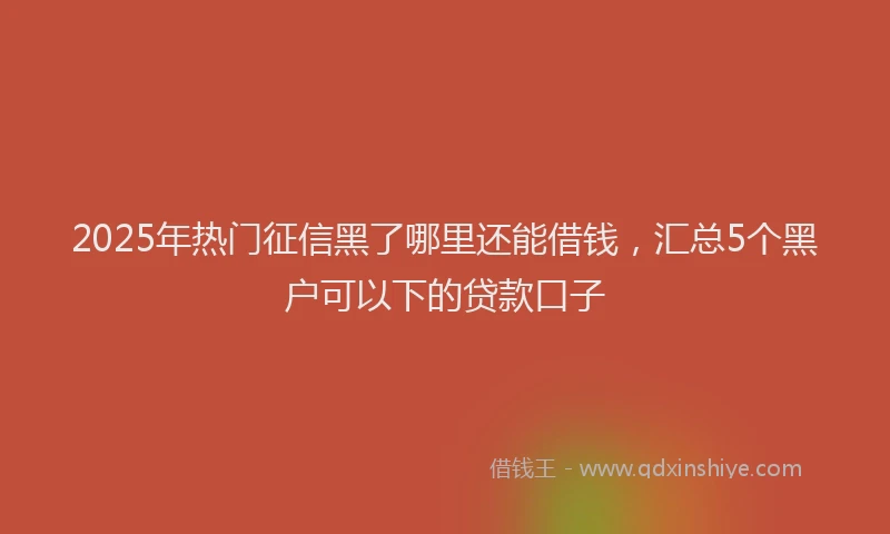 2025年热门征信黑了哪里还能借钱，汇总5个黑户可以下的贷款口子