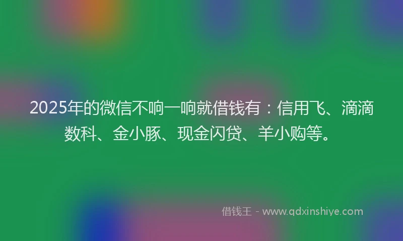 2025年的微信不响一响就借钱有：信用飞、滴滴数科、金小豚、现金闪贷、羊小购等。