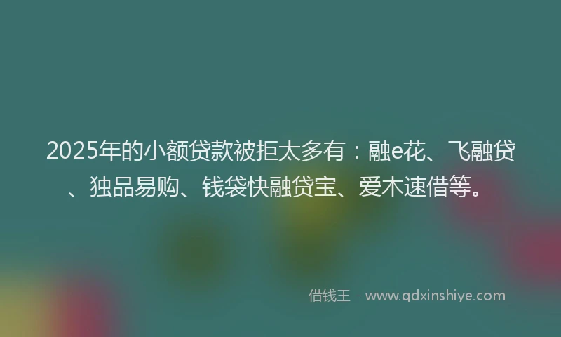 2025年的小额贷款被拒太多有：融e花、飞融贷、独品易购、钱袋快融贷宝、爱木速借等。