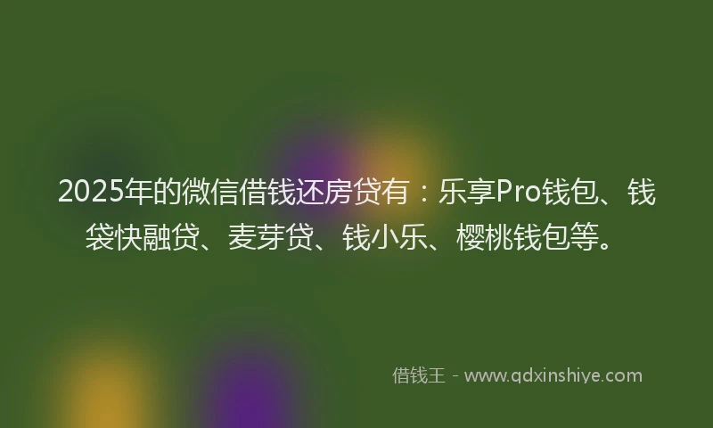 2025年的微信借钱还房贷有：乐享Pro钱包、钱袋快融贷、麦芽贷、钱小乐、樱桃钱包等。