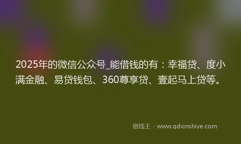 2025年的微信公众号_能借钱的有：幸福贷、度小满金融、易贷钱包、360尊享贷、壹起马上贷等。