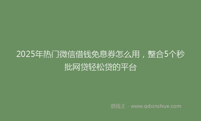 2025年热门微信借钱免息券怎么用，整合5个秒批网贷轻松贷的平台