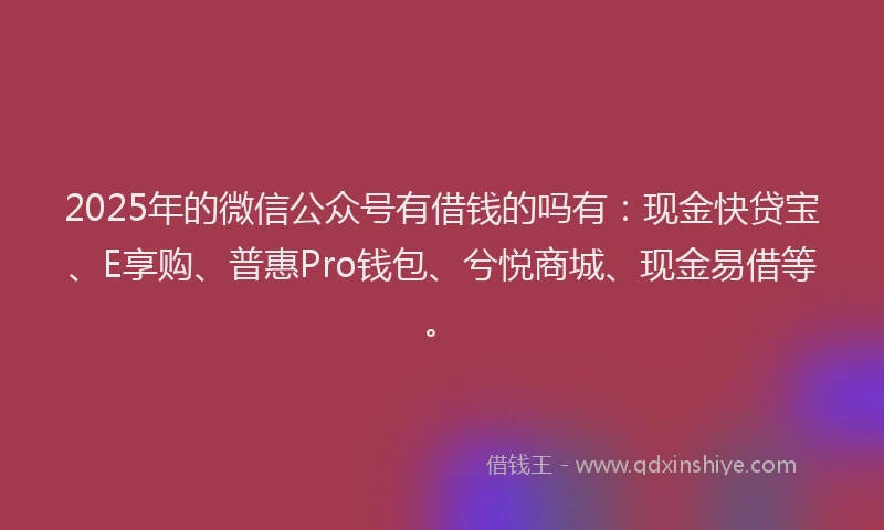2025年的微信公众号有借钱的吗有：现金快贷宝、E享购、普惠Pro钱包、兮悦商城、现金易借等。