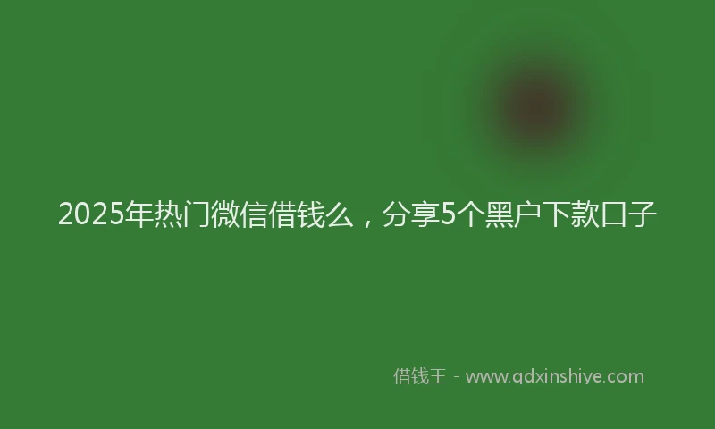 2025年热门微信借钱么，分享5个黑户下款口子
