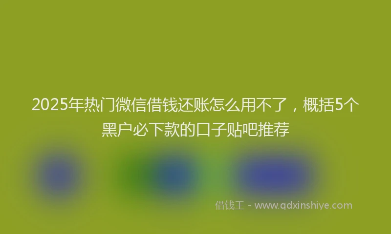 2025年热门微信借钱还账怎么用不了，概括5个黑户必下款的口子贴吧推荐