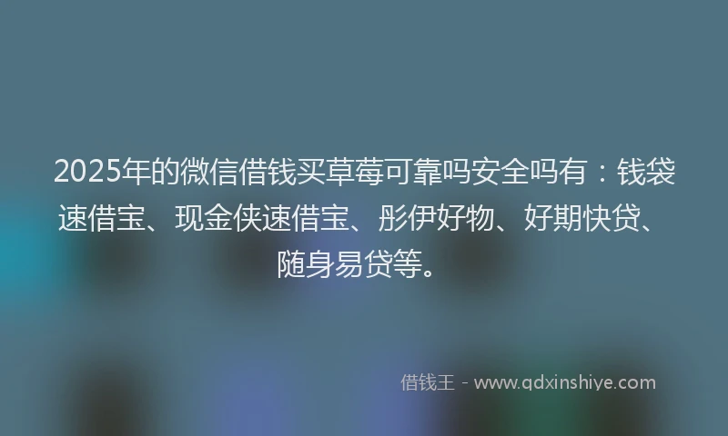 2025年的微信借钱买草莓可靠吗安全吗有：钱袋速借宝、现金侠速借宝、彤伊好物、好期快贷、随身易贷等。