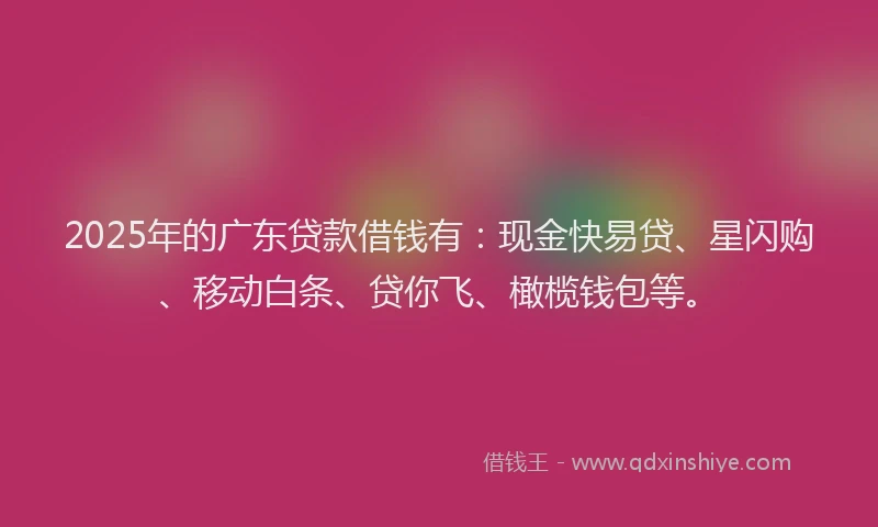 2025年的广东贷款借钱有：现金快易贷、星闪购、移动白条、贷你飞、橄榄钱包等。