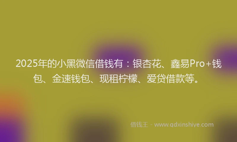 2025年的小黑微信借钱有：银杏花、鑫易Pro+钱包、金速钱包、现租柠檬、爱贷借款等。