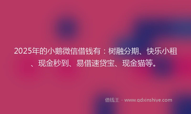 2025年的小鹅微信借钱有：树融分期、快乐小租、现金秒到、易借速贷宝、现金猫等。