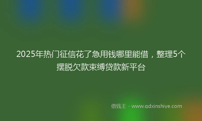 2025年热门征信花了急用钱哪里能借，整理5个摆脱欠款束缚贷款新平台