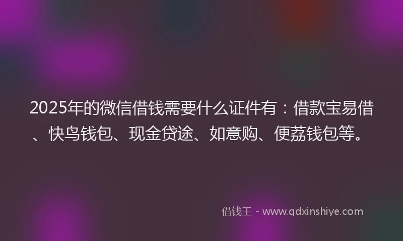 2025年的微信借钱需要什么证件有：借款宝易借、快鸟钱包、现金贷途、如意购、便荔钱包等。