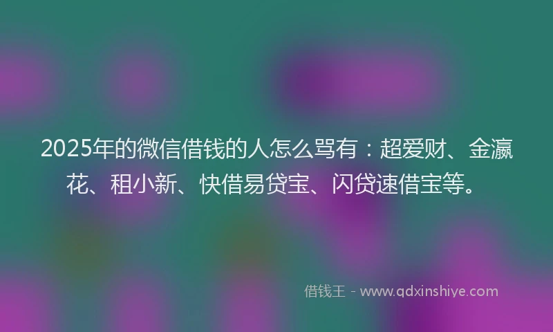 2025年的微信借钱的人怎么骂有：超爱财、金瀛花、租小新、快借易贷宝、闪贷速借宝等。