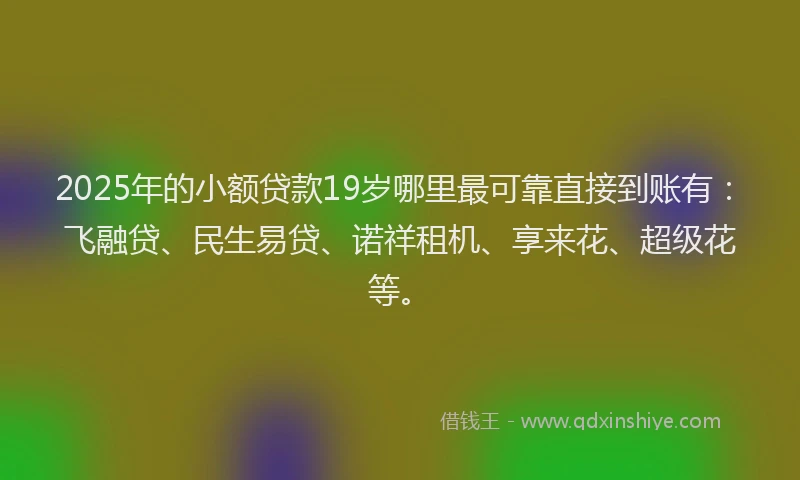 2025年的小额贷款19岁哪里最可靠直接到账有：飞融贷、民生易贷、诺祥租机、享来花、超级花等。