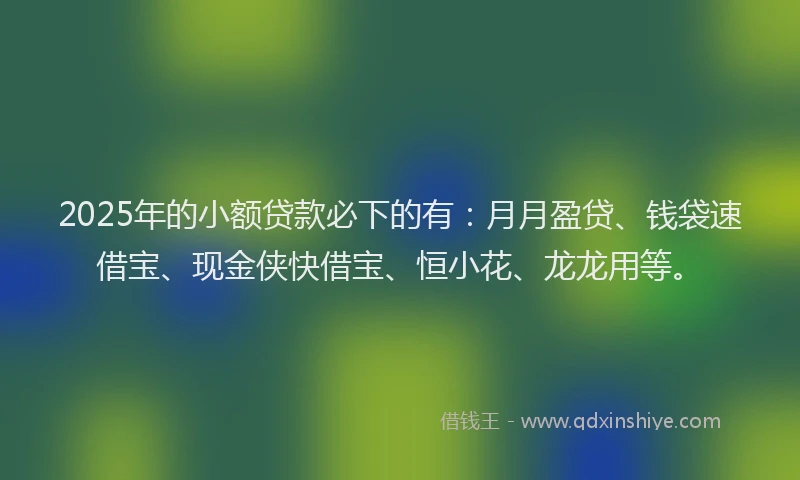 2025年的小额贷款必下的有：月月盈贷、钱袋速借宝、现金侠快借宝、恒小花、龙龙用等。