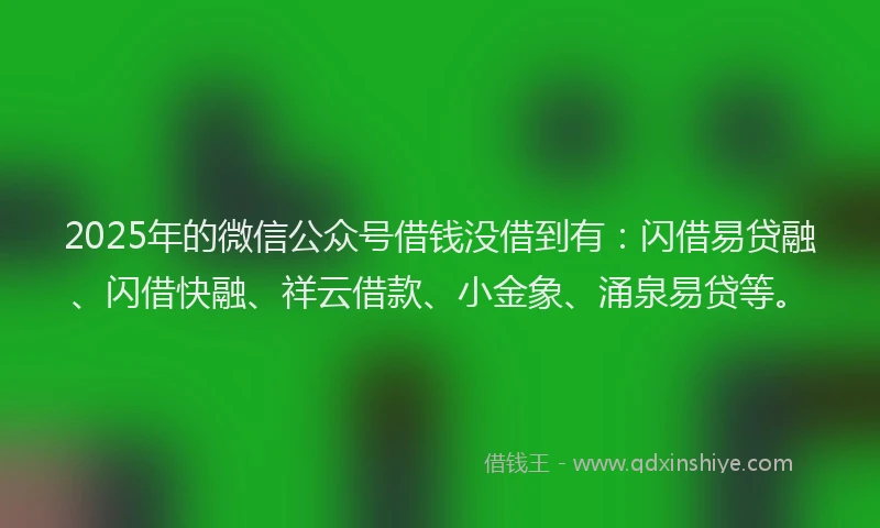 2025年的微信公众号借钱没借到有：闪借易贷融、闪借快融、祥云借款、小金象、涌泉易贷等。