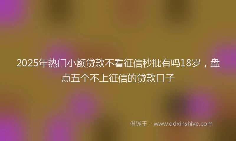 2025年热门小额贷款不看征信秒批有吗18岁，盘点五个不上征信的贷款口子