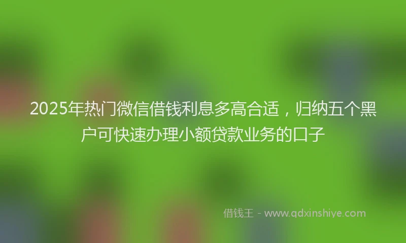 2025年热门微信借钱利息多高合适，归纳五个黑户可快速办理小额贷款业务的口子