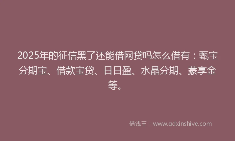2025年的征信黑了还能借网贷吗怎么借有：甄宝分期宝、借款宝贷、日日盈、水晶分期、蒙享金等。