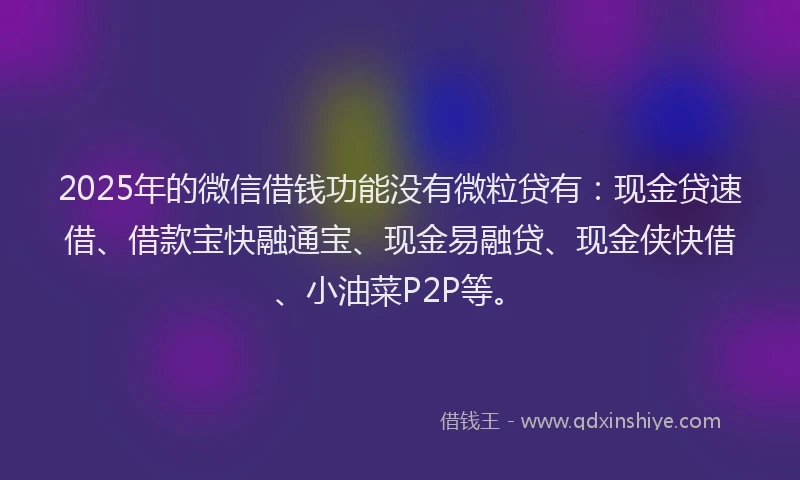 2025年的微信借钱功能没有微粒贷有：现金贷速借、借款宝快融通宝、现金易融贷、现金侠快借、小油菜P2P等。
