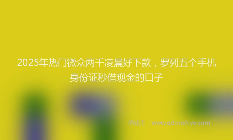 2025年热门微众两千凌晨好下款，罗列五个手机身份证秒借现金的口子