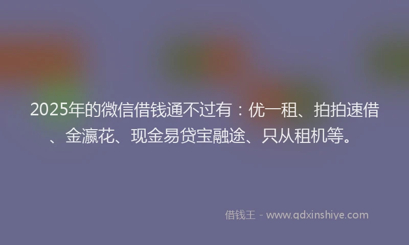 2025年的微信借钱通不过有：优一租、拍拍速借、金瀛花、现金易贷宝融途、只从租机等。