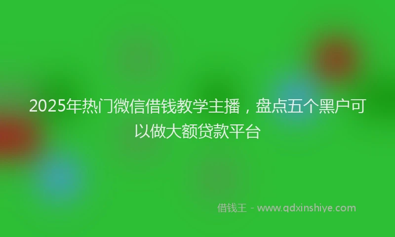2025年热门微信借钱教学主播，盘点五个黑户可以做大额贷款平台