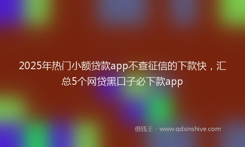 2025年热门小额贷款app不查征信的下款快，汇总5个网贷黑口子必下款app